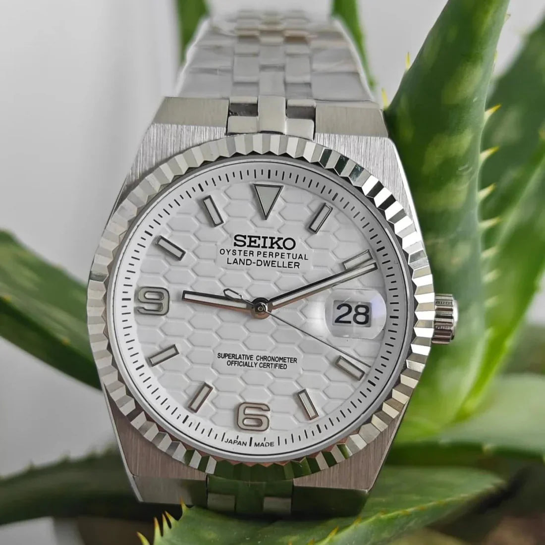 Land-Dweller Mod "Fresh White" Dial - Reloj personalizado con cristal de zafiro y acero inoxidable 316L | XP Watch Co.